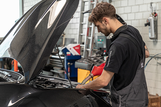 Wartung und Reparatur